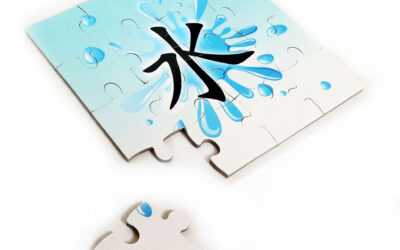 Chinese water puzzel